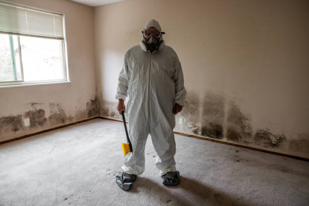 Why You Should Choose Our Mold Remediation Services in Martinez, CA